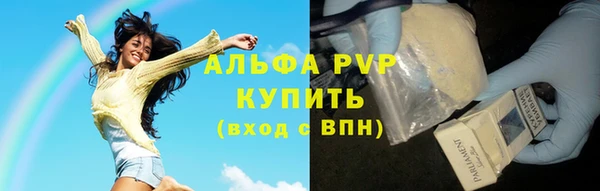 каннабис Богданович