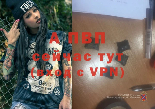 каннабис Богданович
