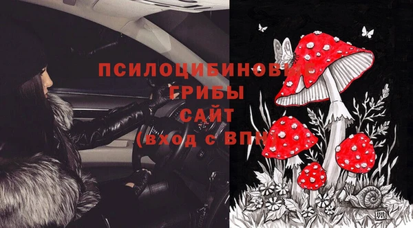 jwh Богородск