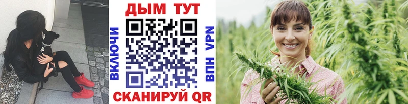 Марихуана OG Kush  где можно купить   Острогожск 